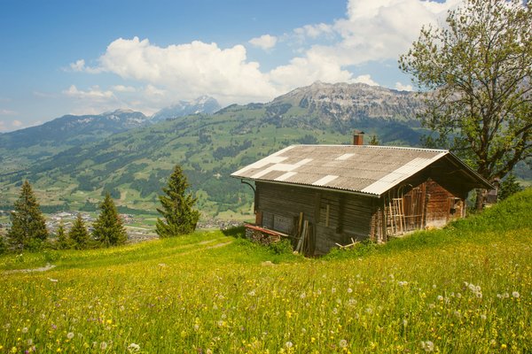 Est-il possible de louer une cabane dans les arbres en Amazonie pour une immersion dans la nature?